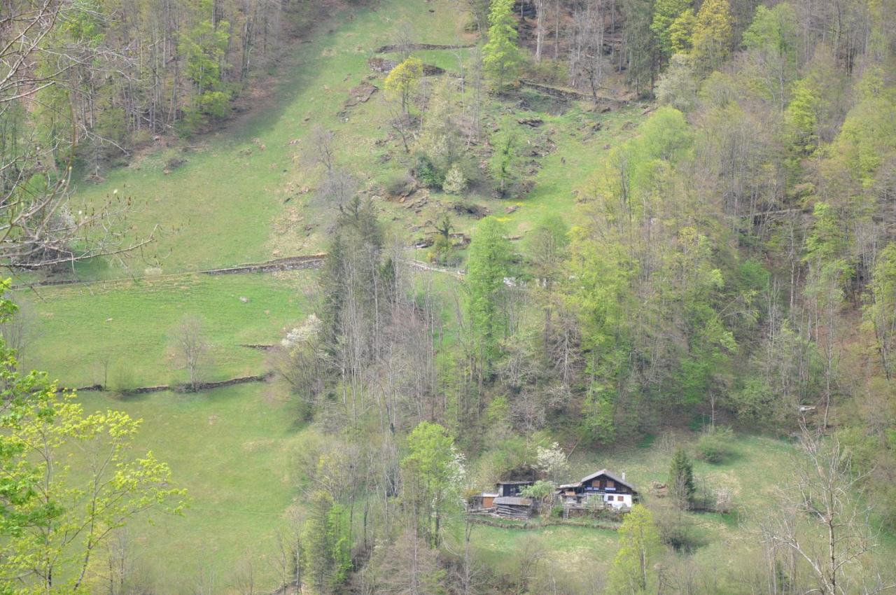 Ferienwohnungen Alter Raaben Ruti  Exterior photo